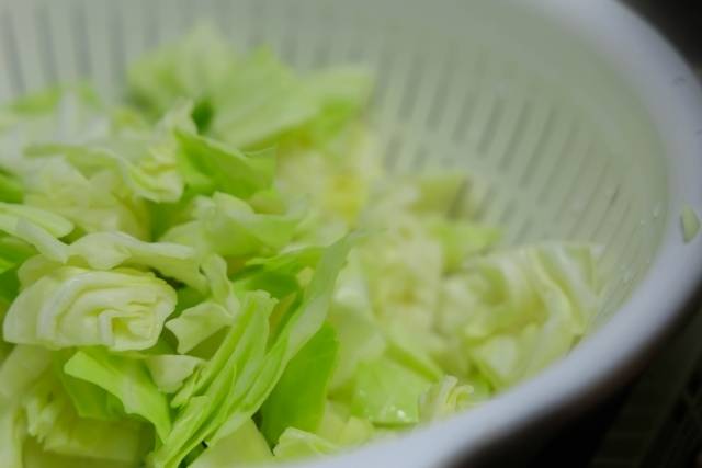 キャベツは冷凍できる!上手な冷凍方法やおすすめの調理法を解説【食材の正しい冷凍方法】